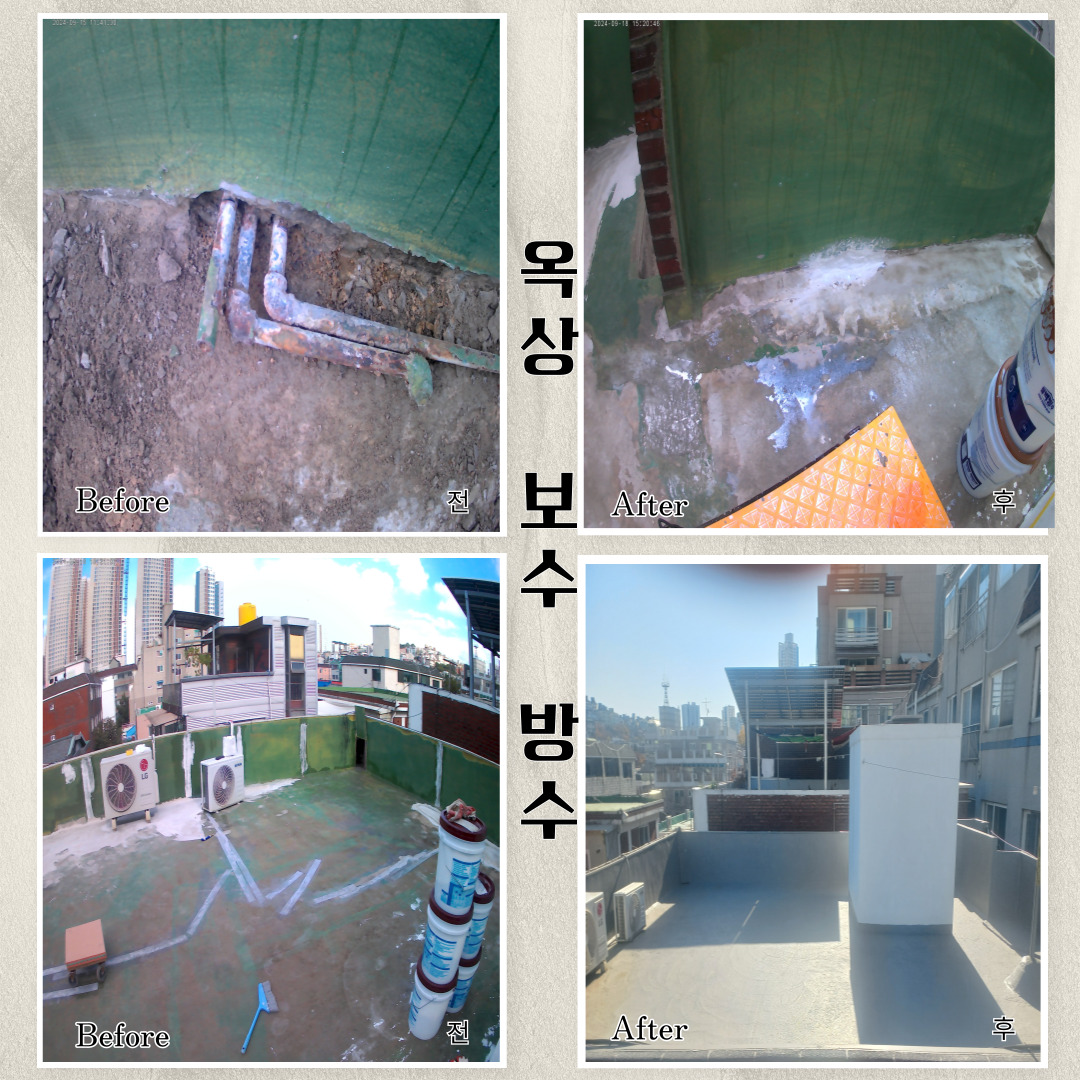 Company Introduction 10